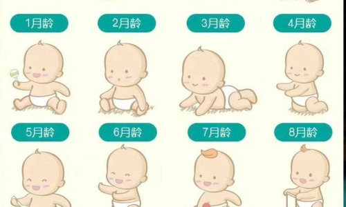 儿童可以用七叶洋地黄双苷滴眼液说明书-七叶洋地黄双苷滴眼液 说明书网 - 施图伦七叶洋地黄双苷滴眼液说明书,七叶洋地黄双苷滴眼液使用教程