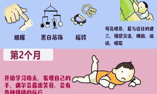 七叶洋地黄双苷滴眼液可以长期使用吗-七叶洋地黄双苷滴眼液 说明书网 - 施图伦七叶洋地黄双苷滴眼液说明书,七叶洋地黄双苷滴眼液使用教程